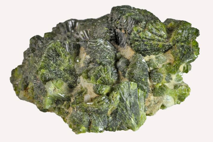Lustrous Epidote Crystal Cluster - Morocco #161131